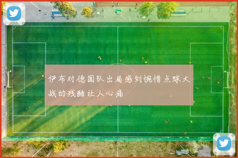 伊布对德国队出局感到惋惜点球大战的残酷让人心痛