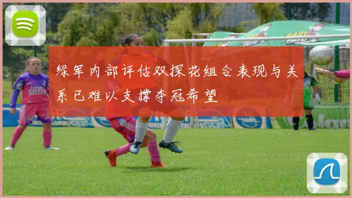 绿军内部评估双探花组合表现与关系已难以支撑夺冠希望